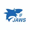 Программа экранного доступа JAWS for Windows